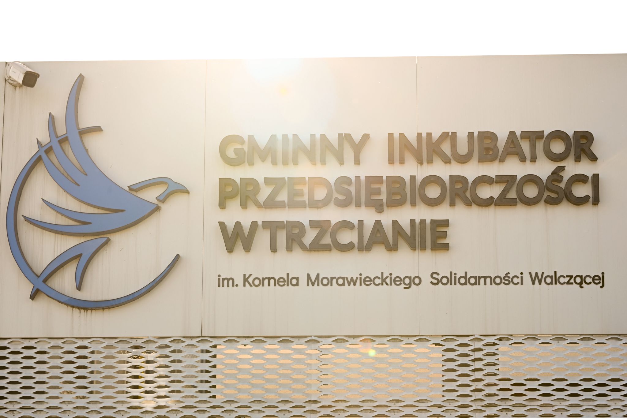 Zdjęcie z galerii