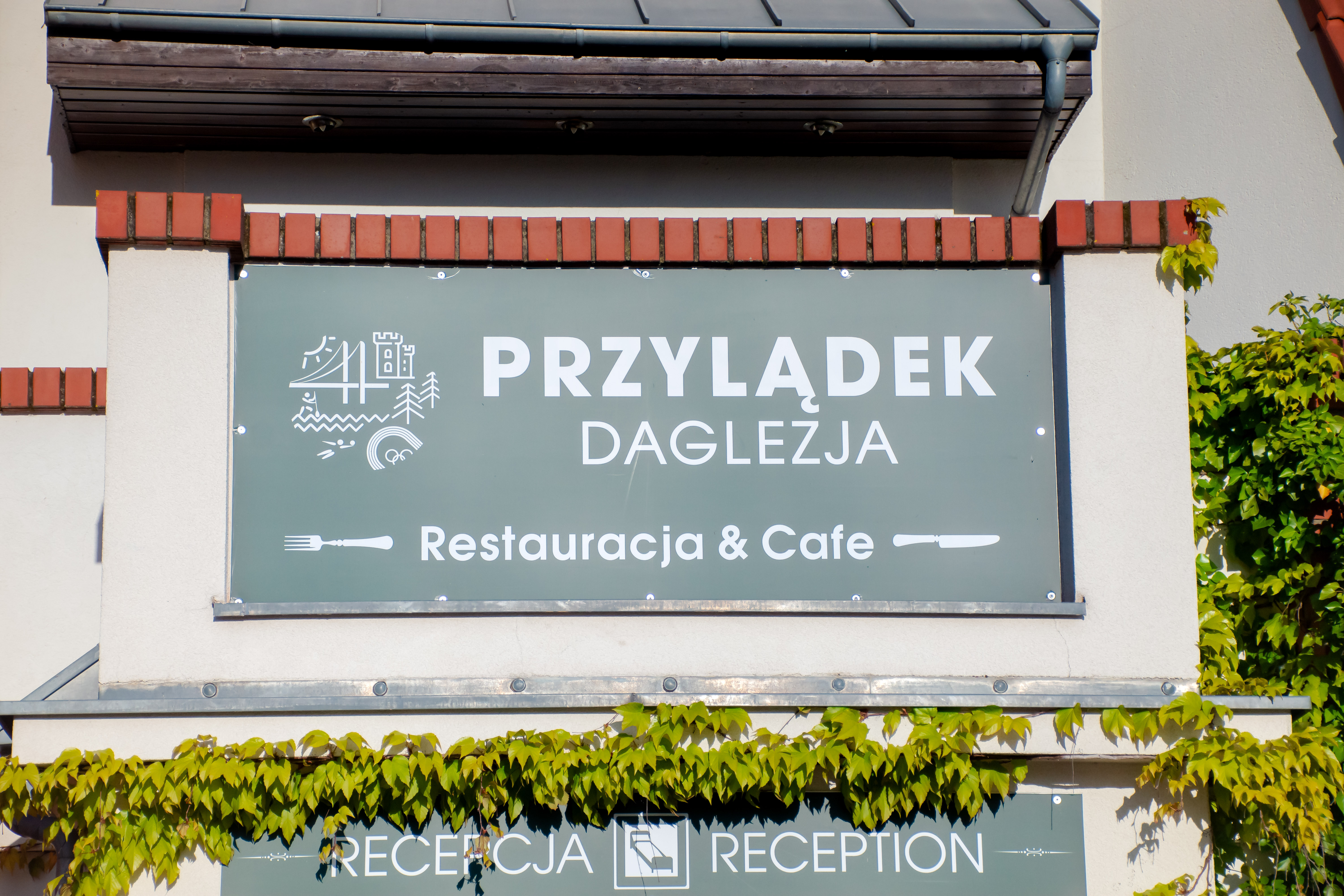Zdjęcie z galerii