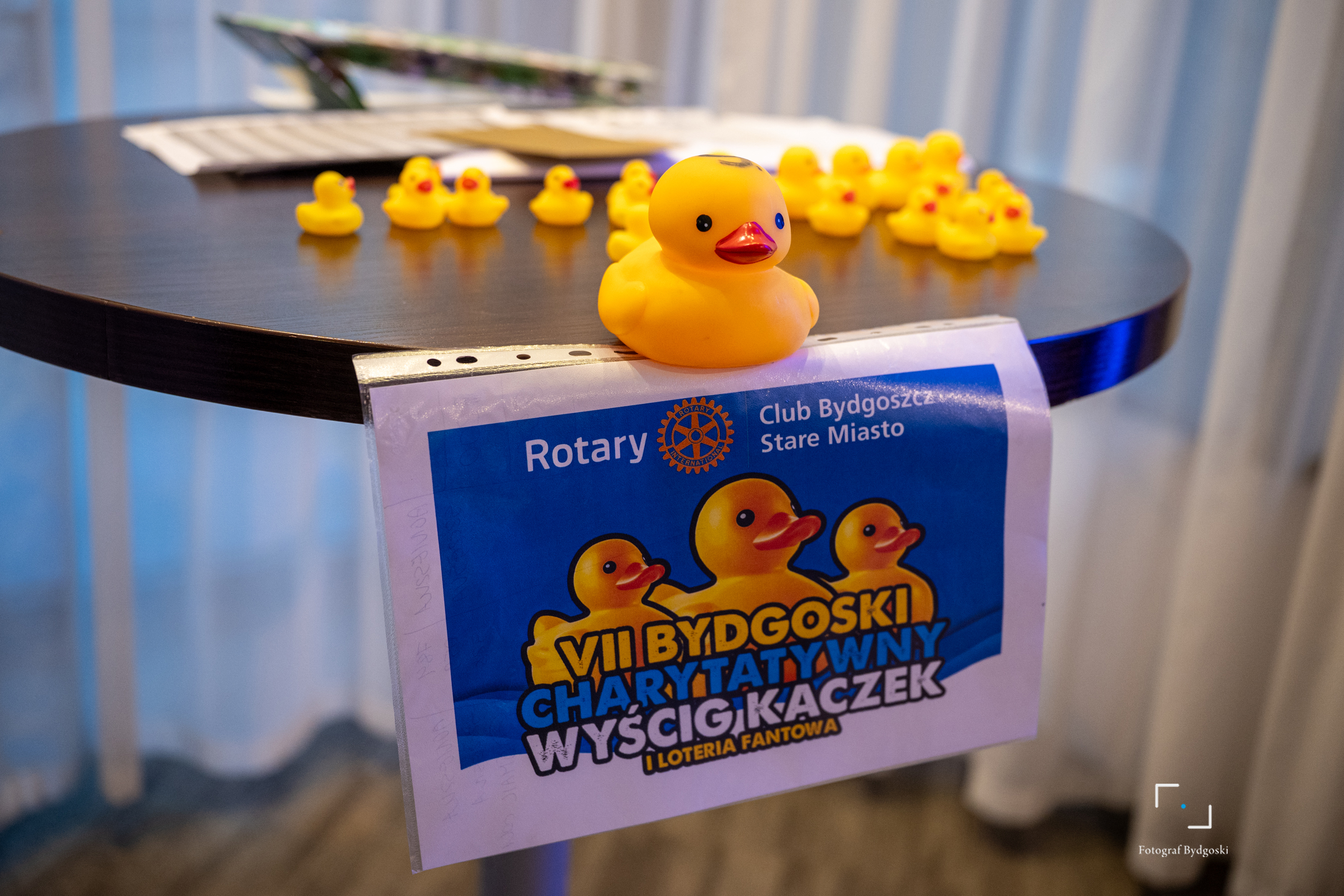 Zdjęcie z galerii
