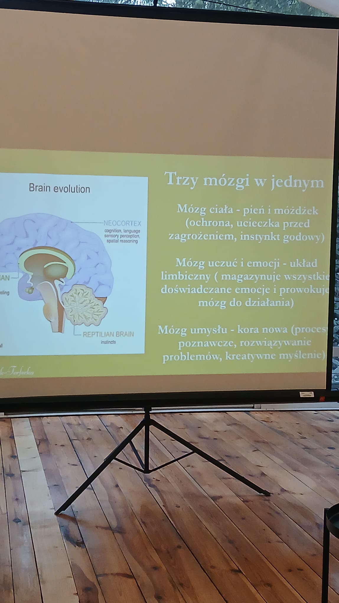 Zdjęcie z galerii