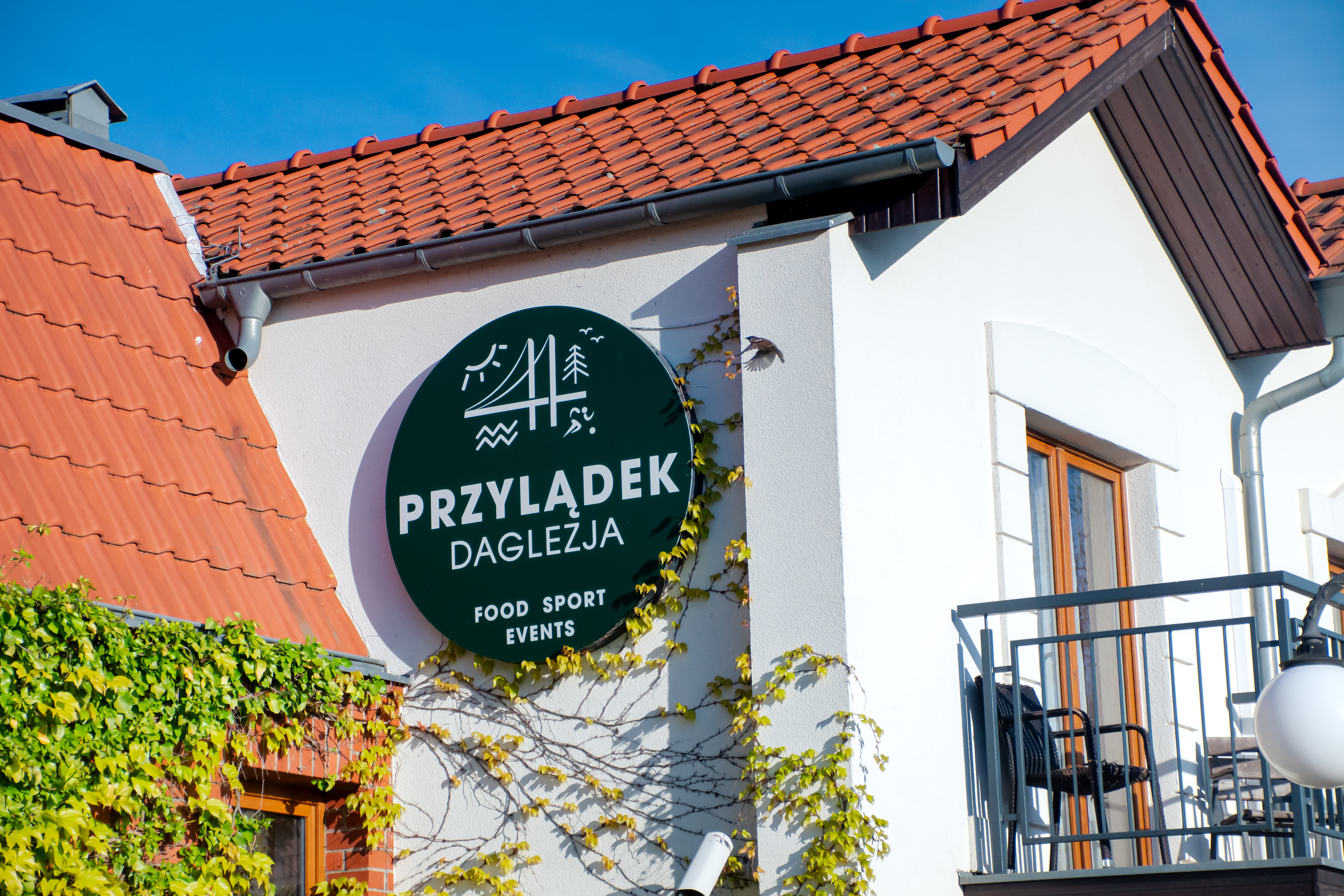 Zdjęcie z galerii